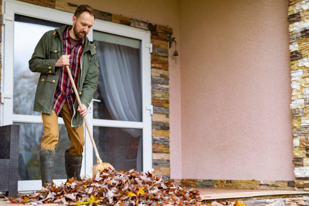 Best Yard Cleanup Services  in North Ogden, UT